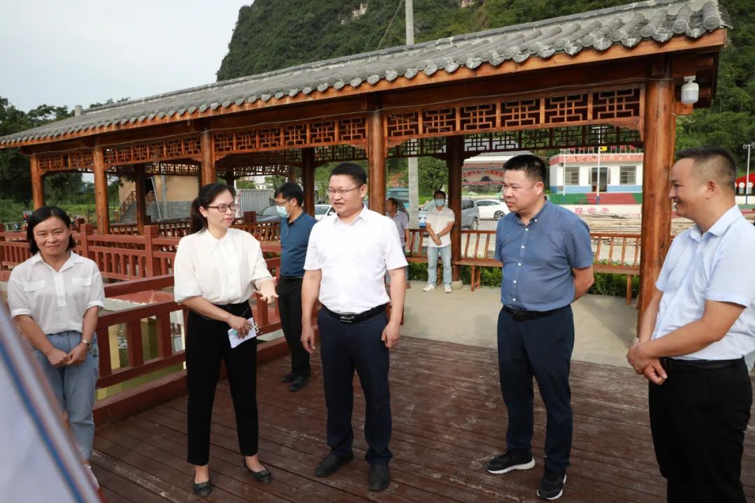 覃子骅到天等县调研乡村振兴及文旅项目建设工作